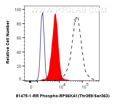 FC experiment of HeLa using 81475-1-RR (same clone as 81475-1-PBS)