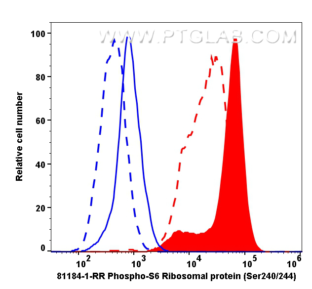 FC experiment of HeLa using 81184-1-RR (same clone as 81184-1-PBS)