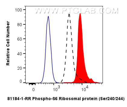 FC experiment of HEK-293 using 81184-1-RR (same clone as 81184-1-PBS)