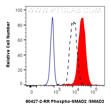 FC experiment of HEK-293 using 80427-2-RR (same clone as 80427-2-PBS)