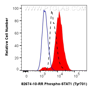 FC experiment of THP-1 using 82674-10-RR