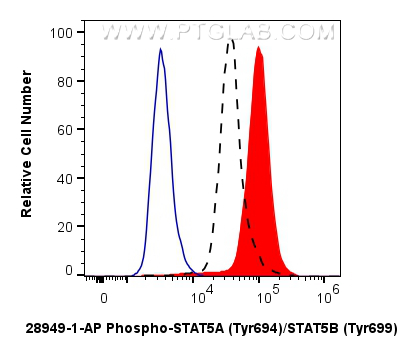 FC experiment of TF-1 using 28949-1-AP