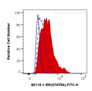 Phospho-STAT5A (Tyr694)/STAT5B (Tyr699)