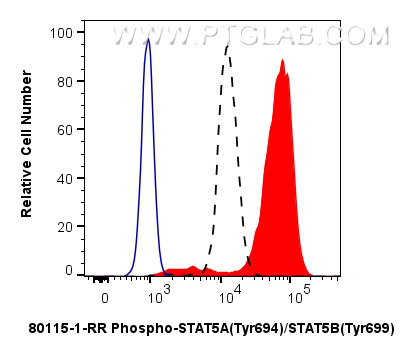 FC experiment of TF-1 using 80115-1-RR (same clone as 80115-1-PBS)