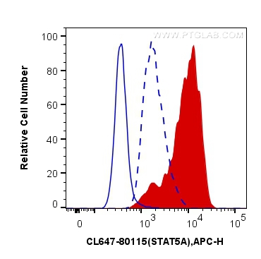 Phospho-STAT5A (Tyr694)/STAT5B (Tyr699)