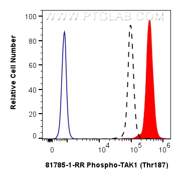 FC experiment of HEK-293 using 81785-1-RR (same clone as 81785-1-PBS)