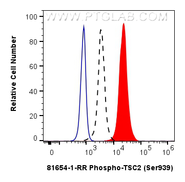 FC experiment of HEK-293 using 81654-1-RR