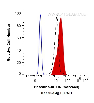 FC experiment of HeLa using 67778-1-Ig