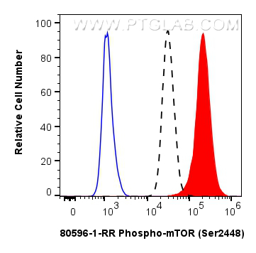 FC experiment of HEK-293 using 80596-1-RR (same clone as 80596-1-PBS)