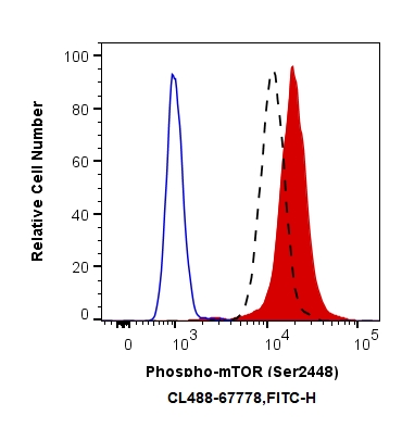 FC experiment of HeLa using CL488-67778