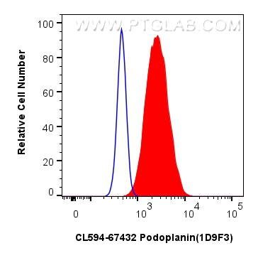 Podoplanin