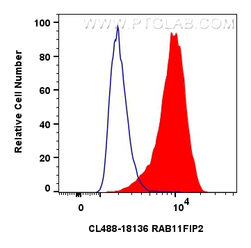 FC experiment of HeLa using CL488-18136