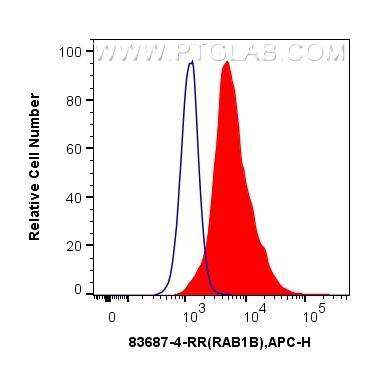 FC experiment of HeLa using 83687-4-RR (same clone as 83687-4-PBS)