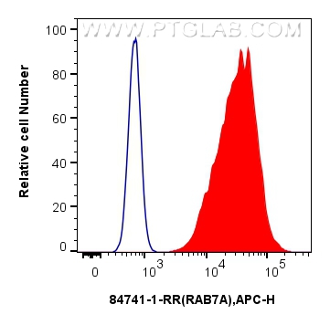 FC experiment of A431 using 84741-1-RR