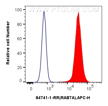 FC experiment of K-562 using 84741-1-RR