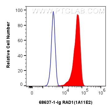 FC experiment of HeLa using 68637-1-Ig (same clone as 68637-1-PBS)