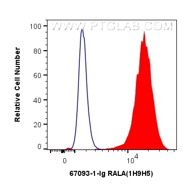 FC experiment of MCF-7 using 67093-1-Ig