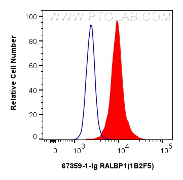 FC experiment of HEK-293 using 67359-1-Ig