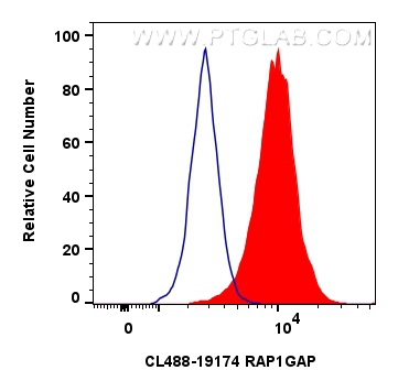 FC experiment of HeLa using CL488-19174