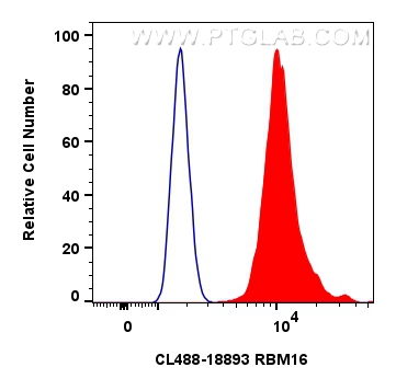 FC experiment of HeLa using CL488-18893