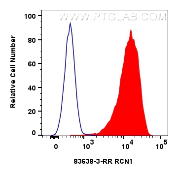 FC experiment of HeLa using 83638-3-RR (same clone as 83638-3-PBS)