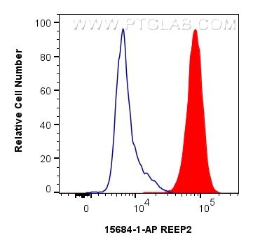 FC experiment of SH-SY5Y using 15684-1-AP