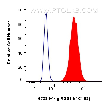 FC experiment of HeLa using 67394-1-Ig (same clone as 67394-1-PBS)