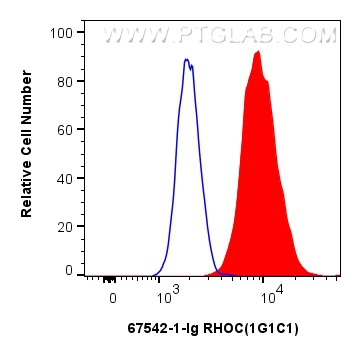 FC experiment of HepG2 using 67542-1-Ig