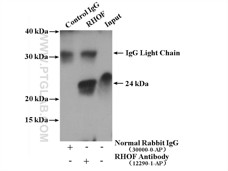 IP experiment of COLO 320 using 12290-1-AP