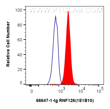 FC experiment of Jurkat using 66647-1-Ig