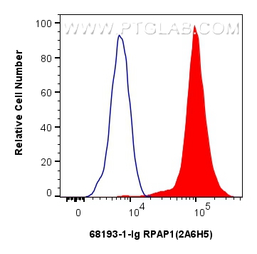 FC experiment of HeLa using 68193-1-Ig (same clone as 68193-1-PBS)