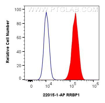 FC experiment of BxPC-3 using 22015-1-AP