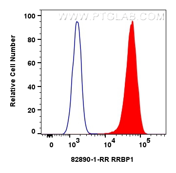 FC experiment of HeLa using 82890-1-RR (same clone as 82890-1-PBS)