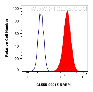 FC experiment of HeLa using CL555-22015