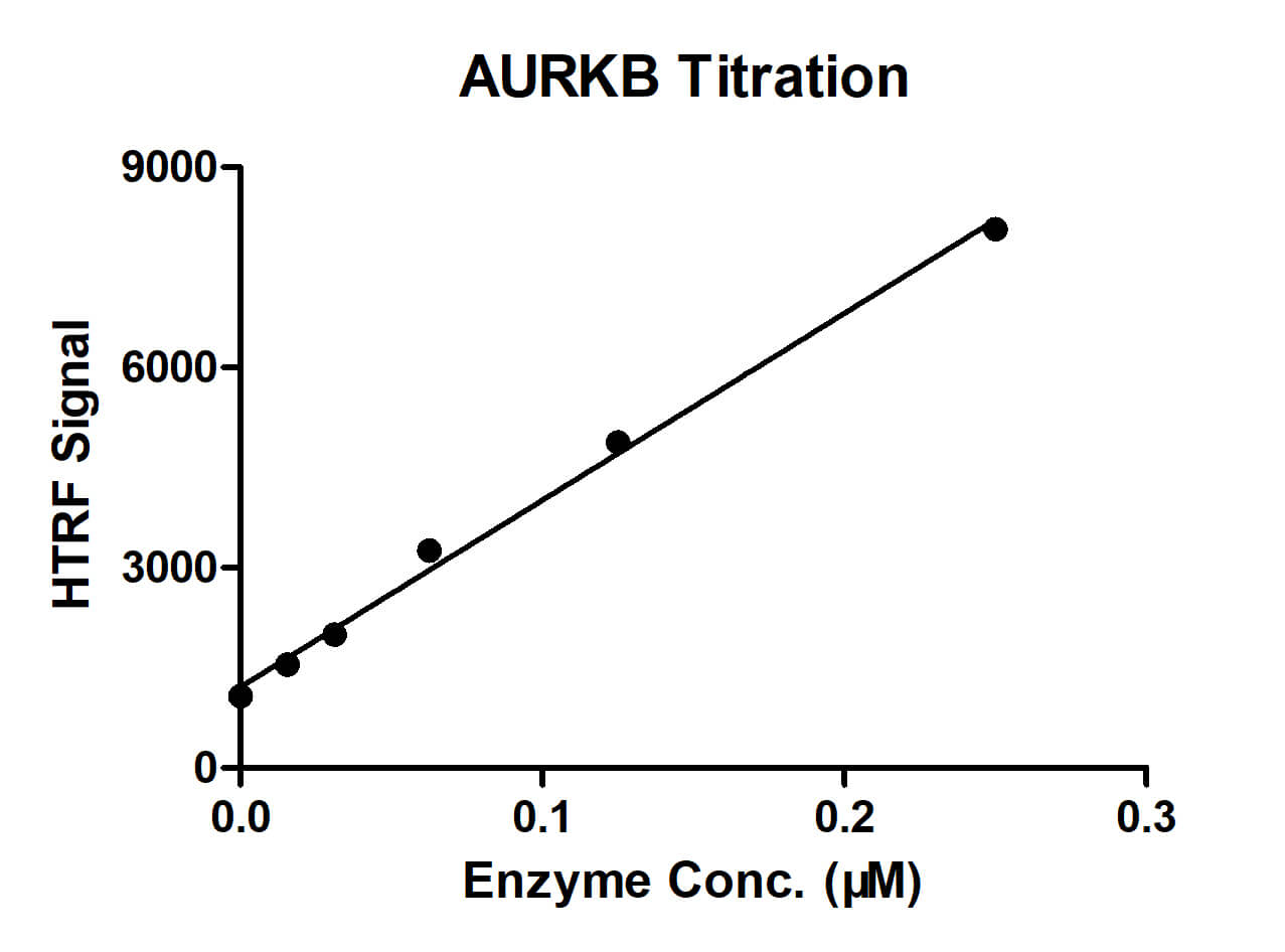 HTRF assay for AURKB activity 1 uM STK S2 substrate was incubated with different concentrations of AURKB protein in a 10 ul reaction system containing 1×Enzymatic Buffer, 5 mM MgCl2, 1 mM DTT and 100 μM ATP for 1 hour. The 10 ul detection reagents containing STK antibody (1:2) and SA-XL665 (1:100) diluted with 1× Detection Buffer were added and incubated with the reactions for 30 min. All the operations and reactions were performed at room temperature. HTRF assay was used for detection.