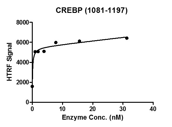 Recombinant CREBBP (1081-1197) HTRF activity assay. 3 uM H4K5/8/12/16 (ac4) peptide was incubated with different concentrations of CREBBP (1081-1197) protein in 10 ul reaction system containing 50 mM HEPES-NaOH pH 7.5, 0.1% BSA for 1 hour, then 10 ul FLAG antibody and SA-XL665 mixture (1:100 dilution in reaction buffer) was added to each reaction system and incubated for 1 hour. All the operations and reactions were performed at room temperature. HTRF assay was used for detection.
