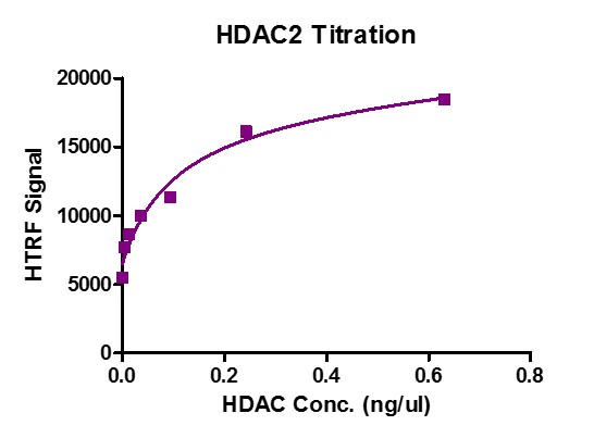 Recombinant HDAC2 activity assay. 1 uM H3K9ac peptide was incubated with different concentrations of HDAC2 protein in a reaction system for 30 min at 37°C, then H3K9me0 antibody and SA-XL665 mixture was added for 1 h at room temperature. HTRF assay was used for detection.