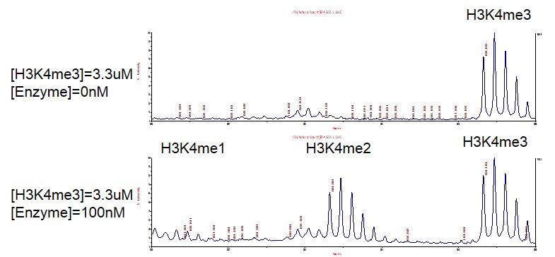 Recombinant JARID1A / KDM5A protein activity assay. 3 uM H3K4me3 (1-21) peptide was incubated with 100 nM JARID1A / KDM5A in a reaction buffer containing 50 mM HEPES pH 7.5, 0.02% Triton X-100, 100 uM 2-OG, 100 uM ascorbate, 50 uM (NH4)2Fe(SO4)2·6H2O for12 hr. at RT. Then 10 μl anti-H3K4me2 antibody and SA-XL665 mixture (each 1:100 dilution in HTRF Detection Buffer) was added to each reaction system and incubated for 30 min. All the operations and reactions were performed at room temperature. HTRF assay was used for detection.