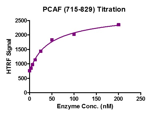 HTRF Assay for Recombinant KAT2B / PCAF (715-829) protein activity. 3 uM histone peptide H4K5/K8/K12/K16 (4ac) was incubated with KAT2B / PCAF(715-829) protein in reaction buffer including 50 mM HEPES-NaOH pH 7.0, 0.1% BSA for 1 hour at room temperature, Anti-Flag antibody was used to detect reaction products.