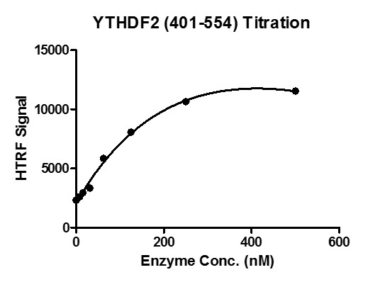 HTRF for YTHDF2 (401-554) activity 3 uM oligo m6A ssDNA (GTTGG/m6A/CTT) was incubated with different concentrations of YTHDF2 (401-554) protein in 10 ul reaction system containing 50 mM HEPES-NaOH pH 7.5, 0.1% BSA for 1 hour, then 10 ul FLAG antibody and SA-XL665 mixture (1:100 dilution in the same buffer) was added to each reaction system and incubated for 30 min. All the operations and reactions were performed at room temperature. HTRF assay was used for detection.