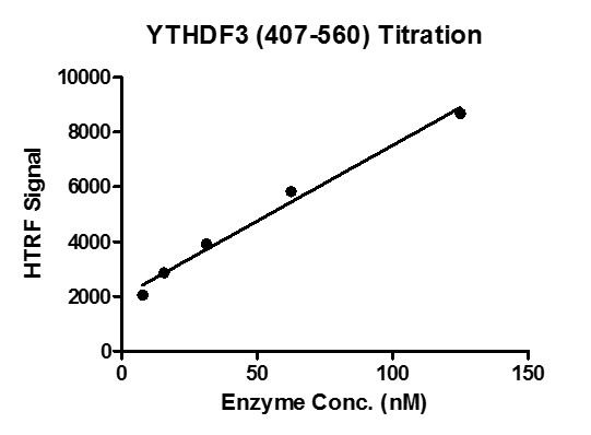 HTRF for YTHDF3 (407-560) activity 3 uM oligo m6A ssDNA (GTTGG/m6A/CTT) was incubated with different concentrations of YTHDF3 (407-560) protein in a 10 ul reaction system containing 50 mM HEPES-NaOH pH 7.5, 0.1% BSA for 1 hour, then 10 ul FLAG antibody and SA-XL665 mixture (1:100 dilution in the same buffer) was added to each reaction system and incubated for 30 min. All the operations and reactions were performed at room temperature. HTRF assay was used for detection.