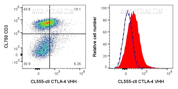 Left: 1x10^6 PHA-treated (3d) human PBMCs were surface stained with 0.5ug CoraLite® Plus 555 conjugated CTLA-4 VHH (CL555-ctl) and CL750 CD3 (CL750-65151). Right: 1x10^6 PHA-treated (3d) human PBMCs were surface stained with 0.5ug CoraLite® Plus 555 conjugated CTLA-4 VHH (CL555-ctl) (red) or unstained (blue). 1X10^6 untreated human PBMCs were surface stained with 0.5ug CoraLite® Plus 555 conjugated CTLA-4 VHH (CL555-ctl) (black dashed). Cells were treated with FC Receptor Block prior to staining. Cells were not fixed. Lymphocytes were gated.