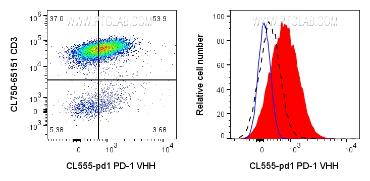 Human PBMCs were stimulated with CD3/CD28 T Cell Activation Beads (KMS310) and after 3 days the magnetic beads were removed. Left: 1x10^6 stimulated cells were surface stained with 2ug CoraLite® Plus 555 conjugated PD-1 VHH (CL555-pd1) and CL750 CD3 (CL750-65151). Right: 1x10^6 stimulated cells were surface stained with 2ug CoraLite® Plus 555 conjugated PD-1 VHH (CL555-pd1) (red) or unstained (blue). 1X10^6 unstimulated cells were surface stained with 2ug CoraLite® Plus 555 conjugated PD-1 VHH (CL555-pd1) (black dashed). Cells were treated with FC Receptor Block prior to staining. Cells were not fixed. Lymphocytes were gated.