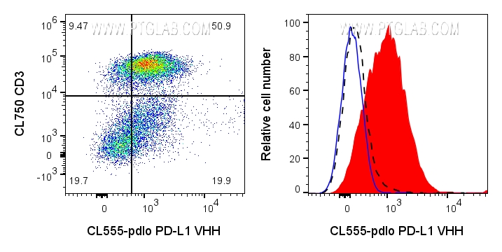 Left: 1x10^6 PHA-treated (3d) human PBMCs were surface stained with 0.125ug CoraLite® Plus 555 conjugated PD-L1 VHH (CL555-pdlo) and CL750 CD3 (CL750-65151). Right: 1x10^6 PHA-treated (3d) human PBMCs were surface stained with 0.125ug CoraLite® Plus 555 conjugated PD-L1 VHH (CL555-pdlo) (red) or unstained (blue). 1X10^6 untreated human PBMCs were surface stained with 0.125ug CoraLite® Plus 555 conjugated PD-L1 VHH (CL555-pdlo) (black dashed). Cells were treated with FC Receptor Block prior to staining. Cells were not fixed. Lymphocytes were gated.