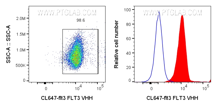 0.5x10^6 KG-1 cells were surface stained with 1ug CoraLite® Plus 647 conjugated FLT3 VHH (CL647-flt3) (red) or unstained (blue).
