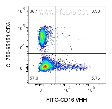 1x10^6 human PBMCs were surface stained with 0.25ug FITC Plus conjugated CD16 VHH (FITC-CD16) and CL750 CD3 (CL750-65151). Cells were not fixed. Cells were treated with FC Receptor Block prior to staining. Lymphocytes and monocytes were gated. 1x10^6 human PBMCs were surface stained with 0.25ug FITC Plus conjugated CD16 VHH (FITC-CD16) and CL750 CD3 (CL750-65151). Cells were not fixed. Cells were treated with FC Receptor Block prior to staining. Lymphocytes and monocytes were gated.