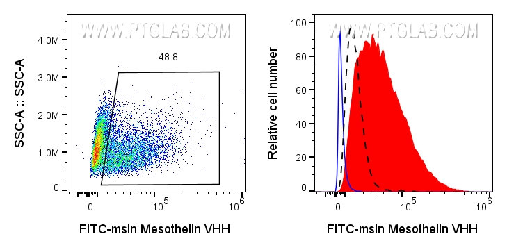 Left: 0.5x10^6 mixed HeLa and PC-3 cells were surface stained with 0.5ug FITC Plus conjugated MSLN VHH (FITC-msln). Right: 0.5x10^6 HeLa (red) or PC-3 (black dashed) cells were surface stained with FITC Plus conjugated MSLN VHH (FITC-msln) or unstained (blue).