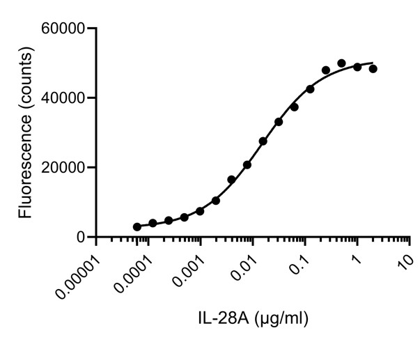 ELISA analysis of the capture of varying concentrations of HumanKine IL-28A (HZ-1235) by biotinylated anti-IL-28A VHH (IL28a-b). Detection via rabbit polyclonal PTG 22646-1-AP.