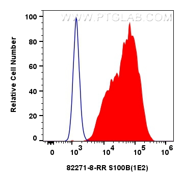 FC experiment of A375 using 82271-8-RR