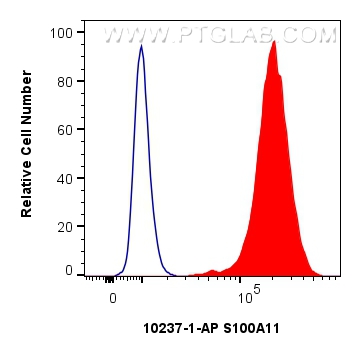 FC experiment of PC-3 using 10237-1-AP